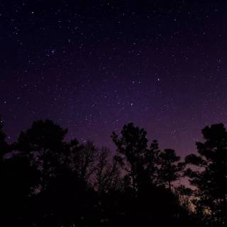 Purple sky desktop wallpaper