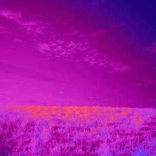 Purple sky desktop wallpaper