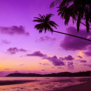 Purple sky desktop wallpaper