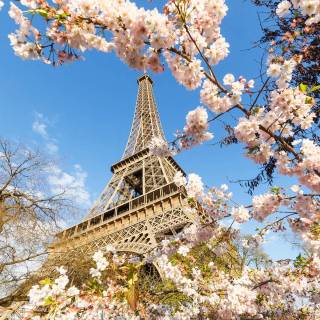 France desktop wallpaper