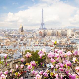 France desktop wallpaper