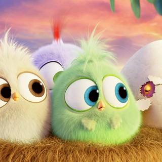 Angry Birds desktop wallpaper