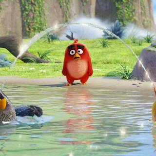 Angry Birds desktop wallpaper