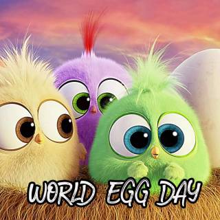 Angry Birds desktop wallpaper