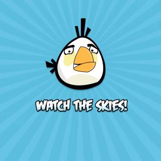 Angry Birds desktop wallpaper