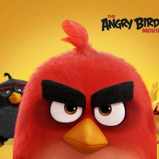 Angry Birds desktop wallpaper