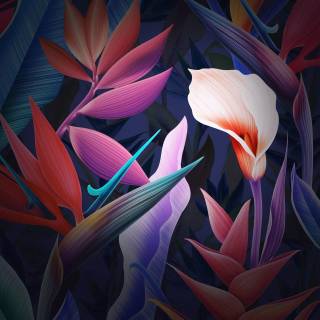 Huawei desktop wallpaper