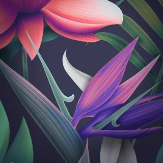 Huawei desktop wallpaper