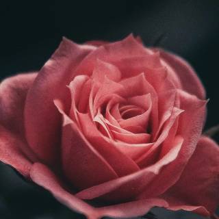 Tecno mobile wallpaper