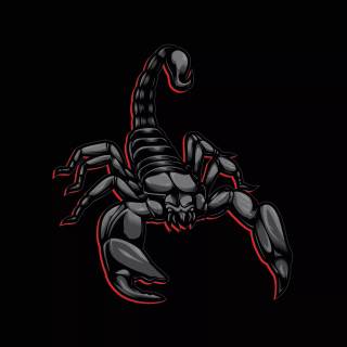 Scorpion animal wallpaper