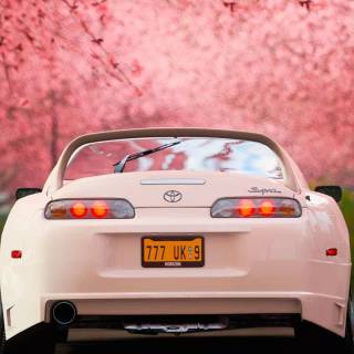 Toyota Supra mobile wallpaper