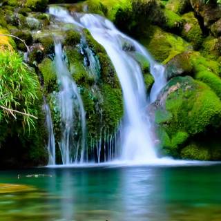 Mobile green wallpaper