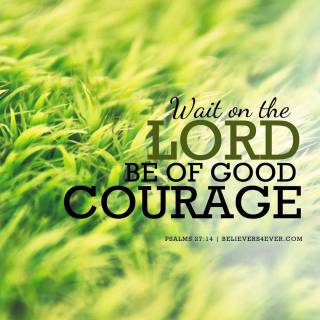 Mobile green wallpaper