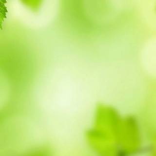 Mobile green wallpaper