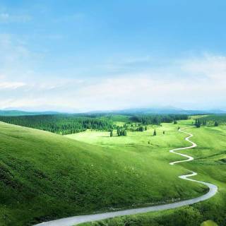 Mobile green wallpaper