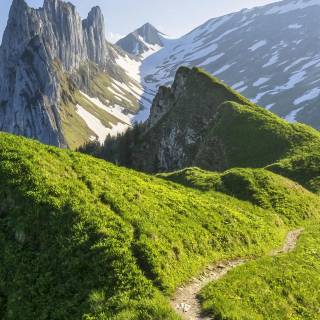 Switzerland mobile wallpaper