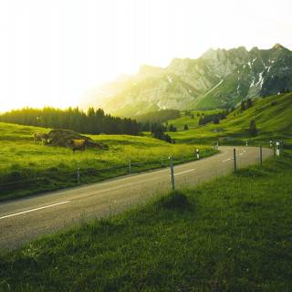 Switzerland mobile wallpaper