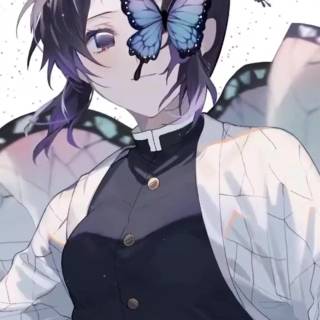 Shinobu mobile wallpaper