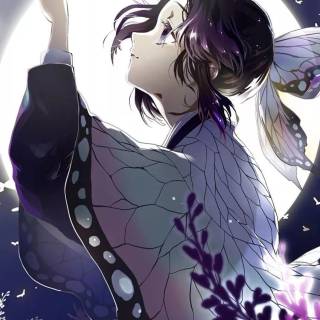 Shinobu mobile wallpaper