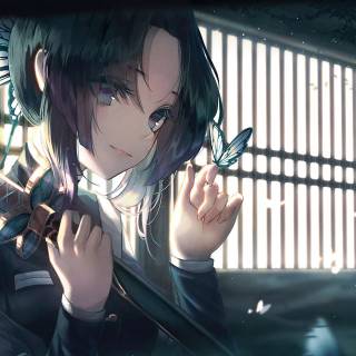 Butterfly PC 4k wallpaper