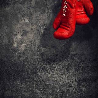 Boxing mobile wallpaper
