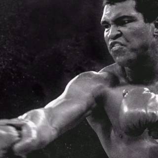 Boxing mobile wallpaper