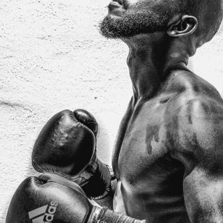 Boxing mobile wallpaper