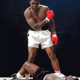 Boxing mobile wallpaper