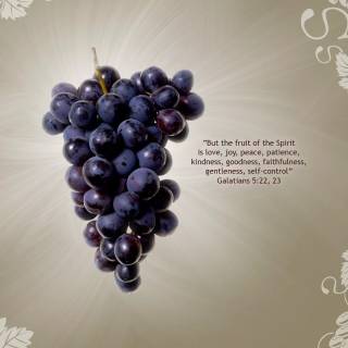 Fruit of the Holy Spirit wallpaper