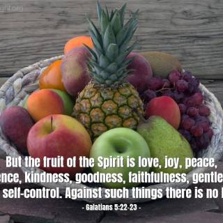 Fruit of the Holy Spirit wallpaper