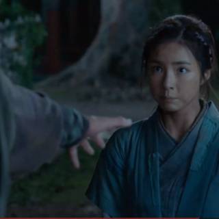 Six Flying Dragons wallpaper