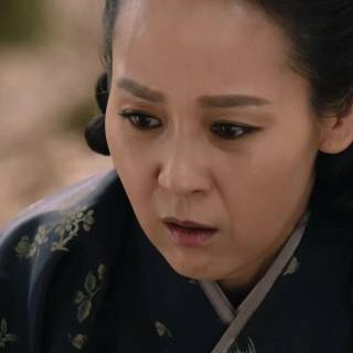 Six Flying Dragons wallpaper