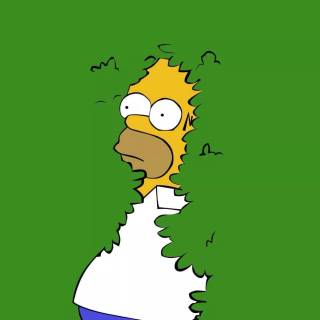 The Simpsons PC wallpaper