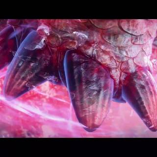 Renegade Immortal desktop wallpaper