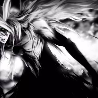 Anime black and white full HD wallpaper