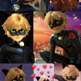 Cat Noir collage wallpaper