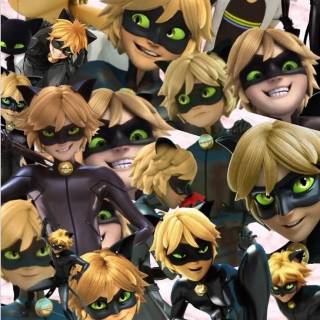 Cat Noir collage wallpaper