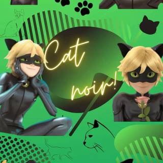Cat Noir collage wallpaper