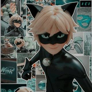 Cat Noir collage wallpaper