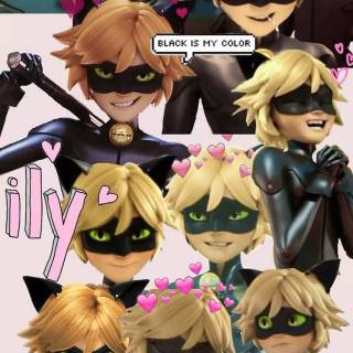 Cat Noir collage wallpaper