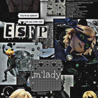 Cat Noir collage wallpaper