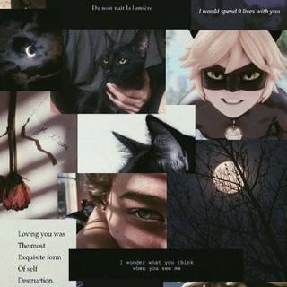 Cat Noir collage wallpaper