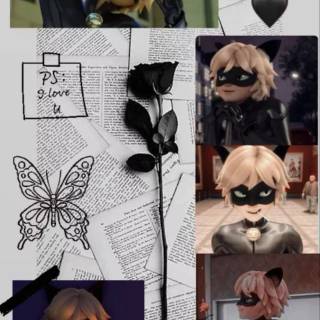 Cat Noir collage wallpaper