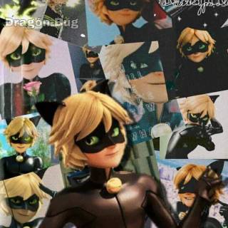 Cat Noir collage wallpaper