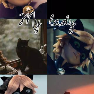 Cat Noir collage wallpaper