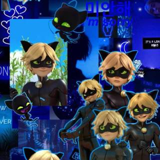 Cat Noir collage wallpaper