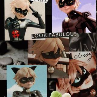 Cat Noir collage wallpaper