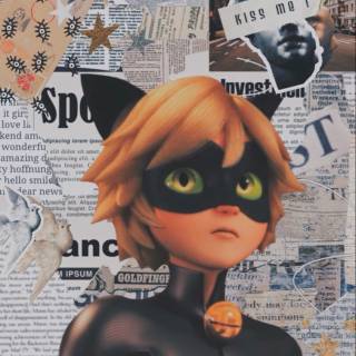 Cat Noir collage wallpaper