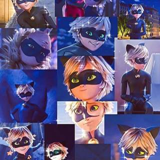 Cat Noir collage wallpaper