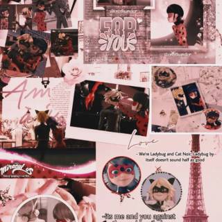 Cat Noir collage wallpaper